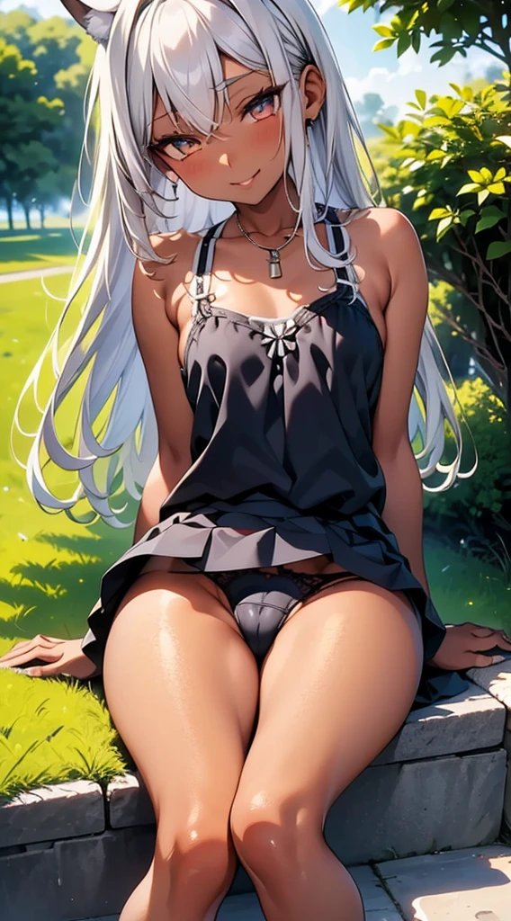 highly detailed,super detailed skin,super detailed panties,detailed beautiful eyes(dark skin,Silver Hair,Fox Girl),(Perfectly detailed face),(Young) ,(camisole,mini skirt),(((m legs,))), (((Black underwear))),cameltoe,garden,noon,sweaty,Smirk,High resolution, masterpiece, Highest quality, High resolution