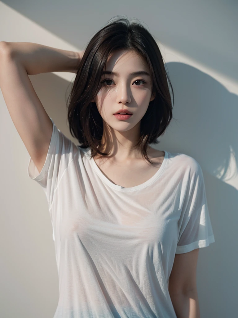 Highest quality、masterpiece、Ultra-high resolution、(Realism:1.4)、 1 person、In a pale background、Deep Shadow、Low Key、Shortcuts、Upper Body、sex appeal、Wearing a thick T-shirt、Cosmetic CM