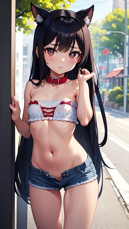 (masterpiece), Highest quality, One Girl, girl, Body type is 4.5-body proportions for children, pretty girl, Flat Chest, Black Hair, Very long hair, She is looking towards the viewer, She is wearing a bright red leather collar., Reins extend from the collar, The reins are held by a man off-screen.,
Strapless clothing, White lace outfit, Expose the clavicle, Not wearing a bra, Erect nipples, Lace frills on the chest, The frills make the skin look translucent., Lifting her frills to show off her breasts,
Belly button, A bulging belly, Show off your belly, Exposing the flanks,
Not wearing panties, denim micro mini shorts, Extremely low cut shorts, Extremely low rise shorts, Ultra-short shorts that show off your V-line, Cutoff shorts, Expose your hips, Shorts are unbuttoned, She unzips her shorts, Open the front of your shorts, She pulls down her shorts, She has taken off her shorts so you can see her crotch, I can see the pussy, She purposely shows off her pussy, I can see the crotch lines, she has no pubic hair, Show me that you don't have pubic hair.,
She stands with her legs spread, Open your knees,
Outdoor, She is standing in the city, There's a big road behind her, There are many passersby walking around her., Very shy, Strange look, blush, Being mindful of the surroundings,