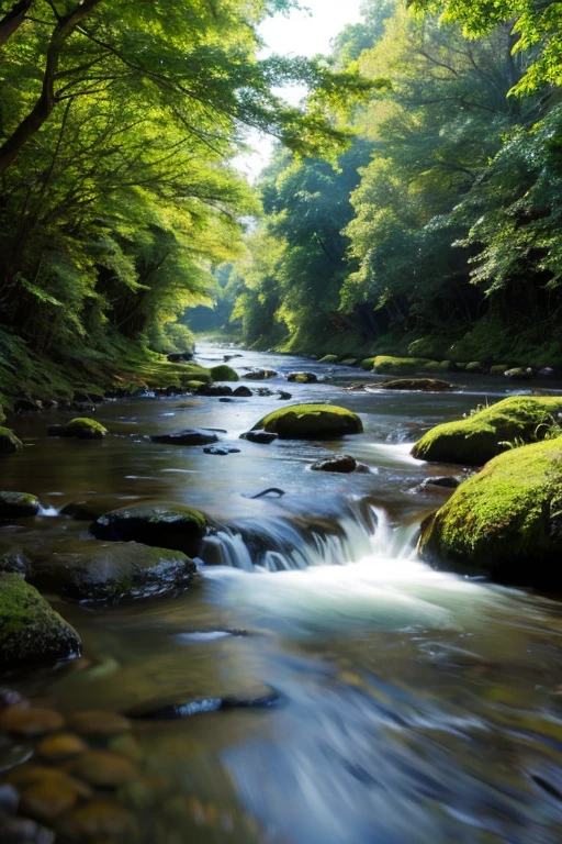 forest、river