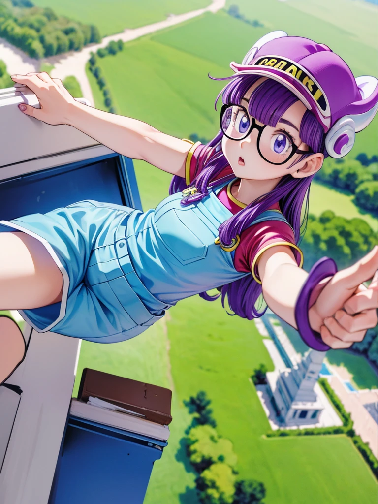 masterpiece, highest quality, Very detailed, 16k, Ultra-high resolution, Cowboy Shot, Detailed face, Perfect Fingers, One  girl, Garden of the mansion, arale, glasses, blue eyes, long hair, purple hair, short sleeves, hat, cap, red shirt, blue overalls