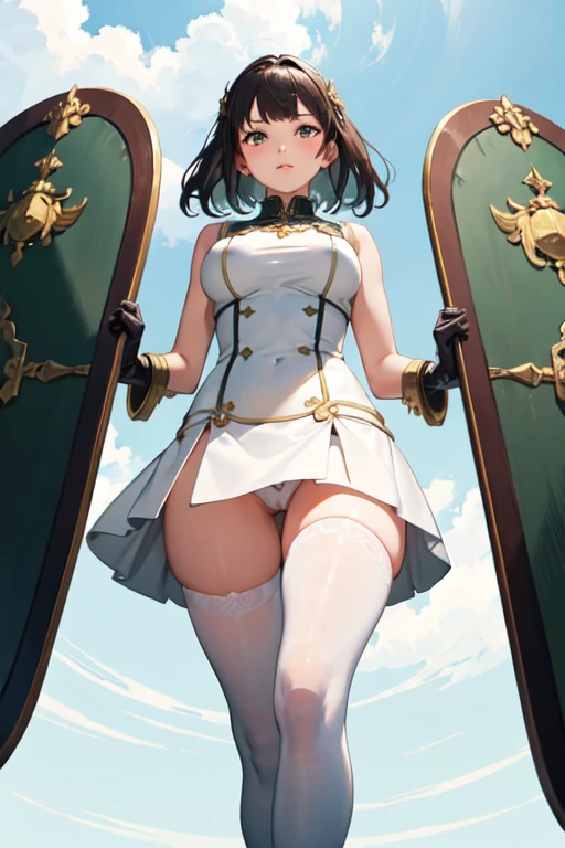 ((Best Quality)), ((masterpiece)), ( Very detailed), 1 girl,with tight dress, white with green, black stockings, mini skirt,white panties, with a sword, A shield, in a medieval landscape, looking at the viewer,((Whole body)),((view from below))