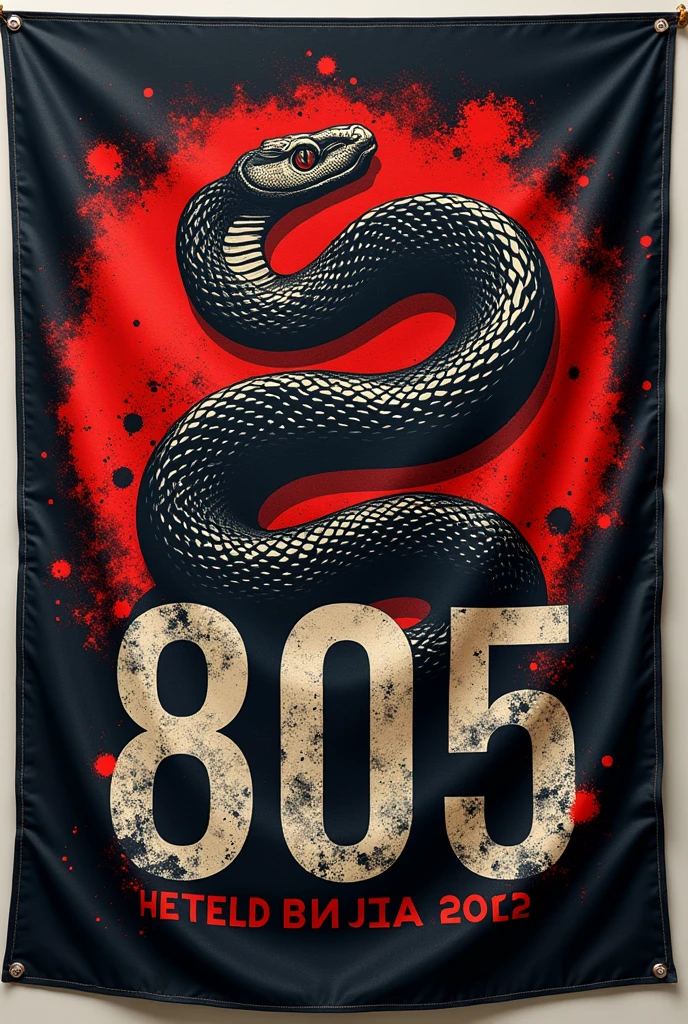 a flag as a horizontal format, written “805”, and with a really cool image it could be of a snake