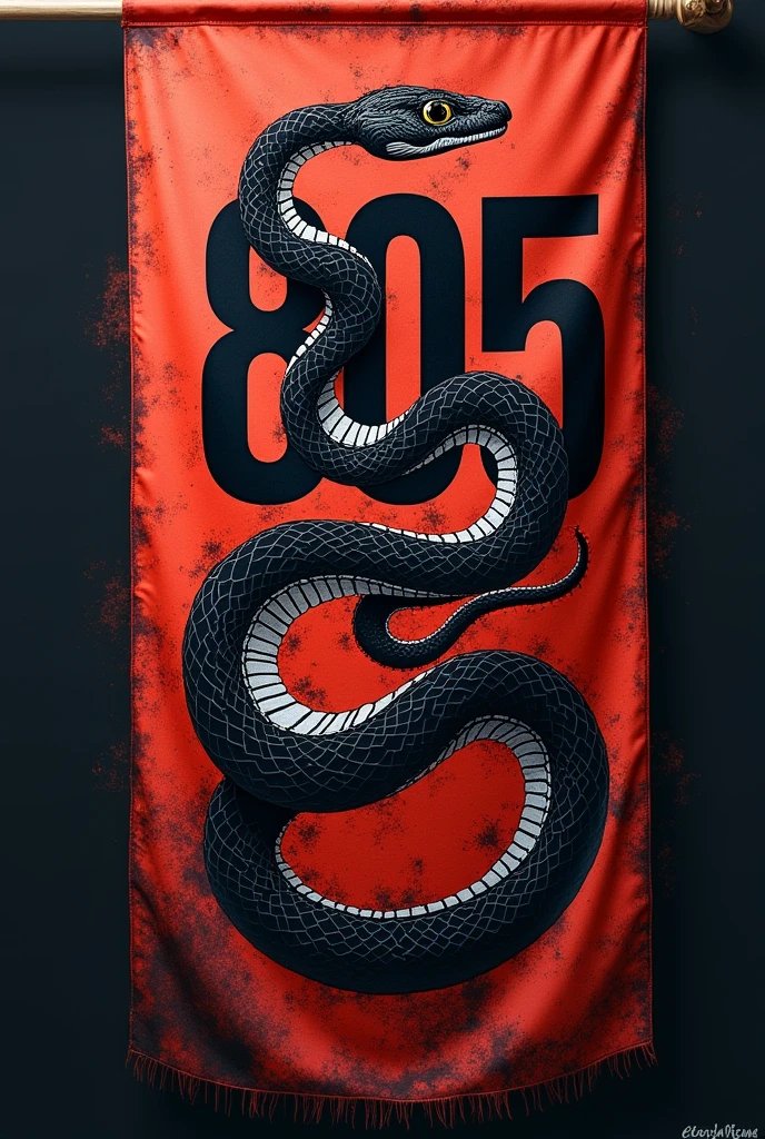 a flag as a horizontal format , written “805”, and with a really cool image it could be of a snake