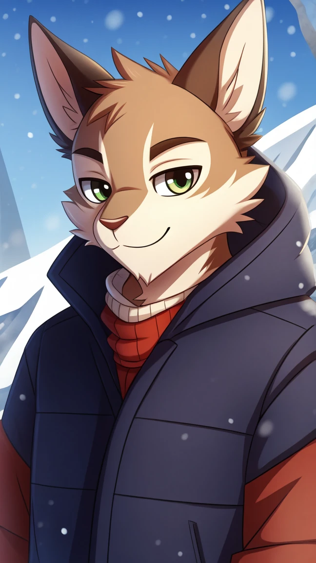 Gato furry, full body, head on, winter clothes, anthropomorphic, visual novel