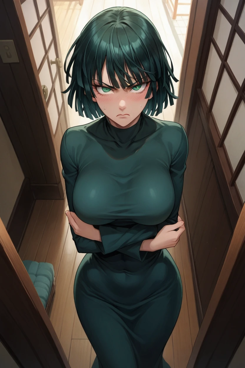 Fubuki from the cartoon "One punch Man", black dress, crossed hands, look at the viewer, from above, big breasts, flushed, annoyed, in a japanese room.