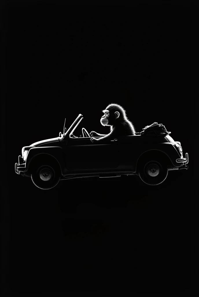 Monkey driver a car in sky. Eith black background