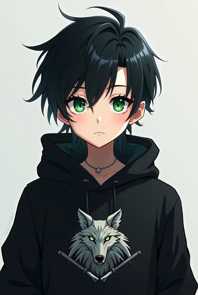 Animé, moitié homme moitié elfe, cheveux noirs, jeune fille (), sourcils noires, pupils vert, vêtement noire avec logo (loup avec deux sabre)