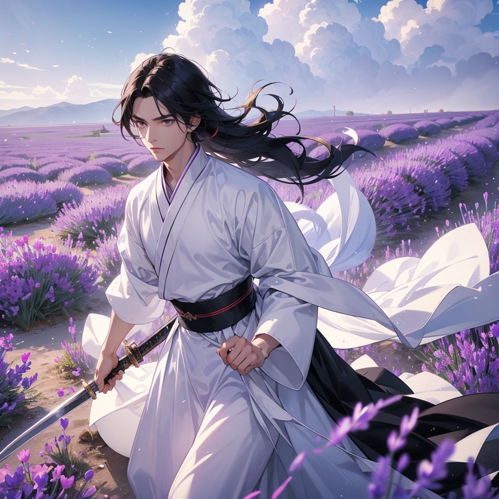 
A Handsome black-hair male holding a large sword in white hanfu dress, Stroll among the purple lavender fields , There are some floating clouds. 

 
