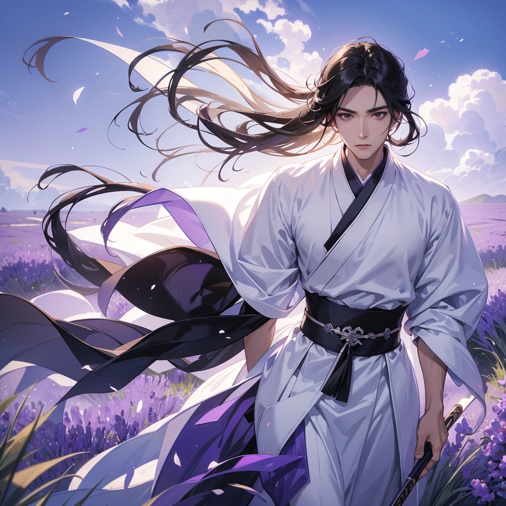 
A Handsome black-hair male holding a large sword in white hanfu dress, Stroll among the purple lavender fields , There are some floating clouds. 

 
