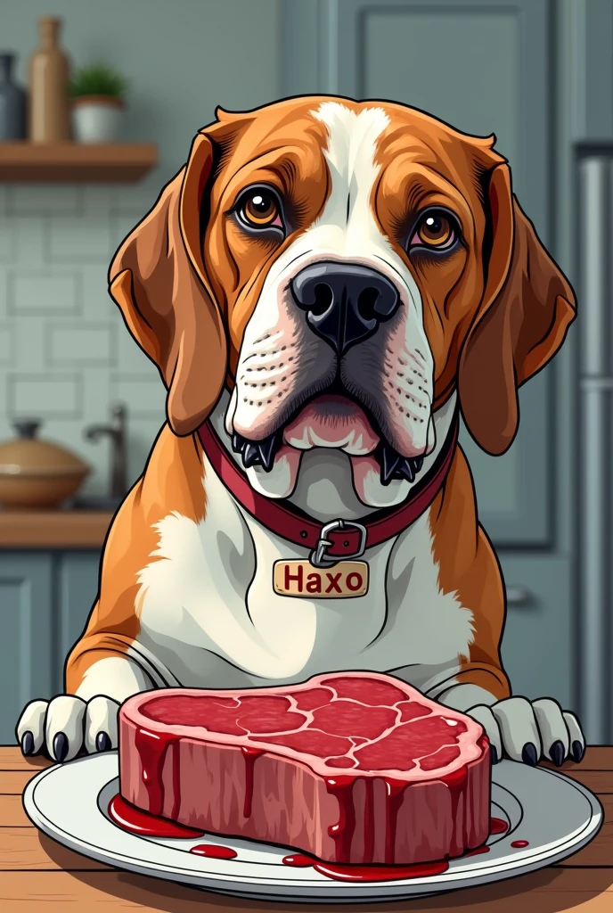 Un gros vieux beagles mangeant un steak avec un collier écrit Haxo. En personnage de manga.