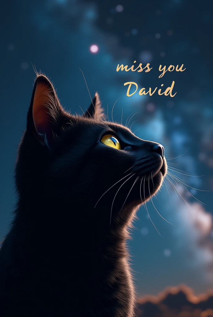Close up of a black cat's cat face. Look towards the stars, stars and galaxies in the background. "Miss you david" it is written.