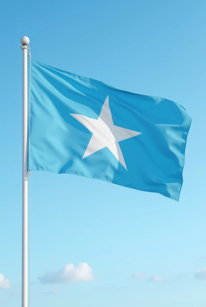 🇸🇴