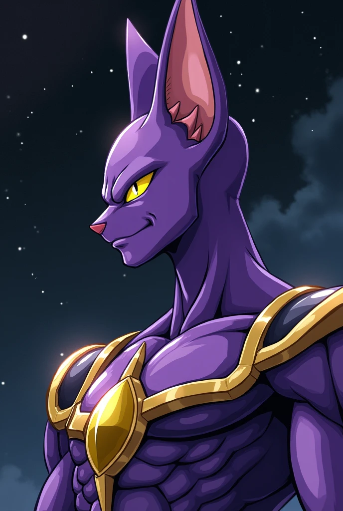 beerus at dragon ball z planet profile picture