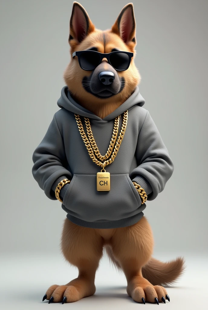 German Shepherd dog with grey hoodie and sunglasses. And gold chains that say Fernando Ch.