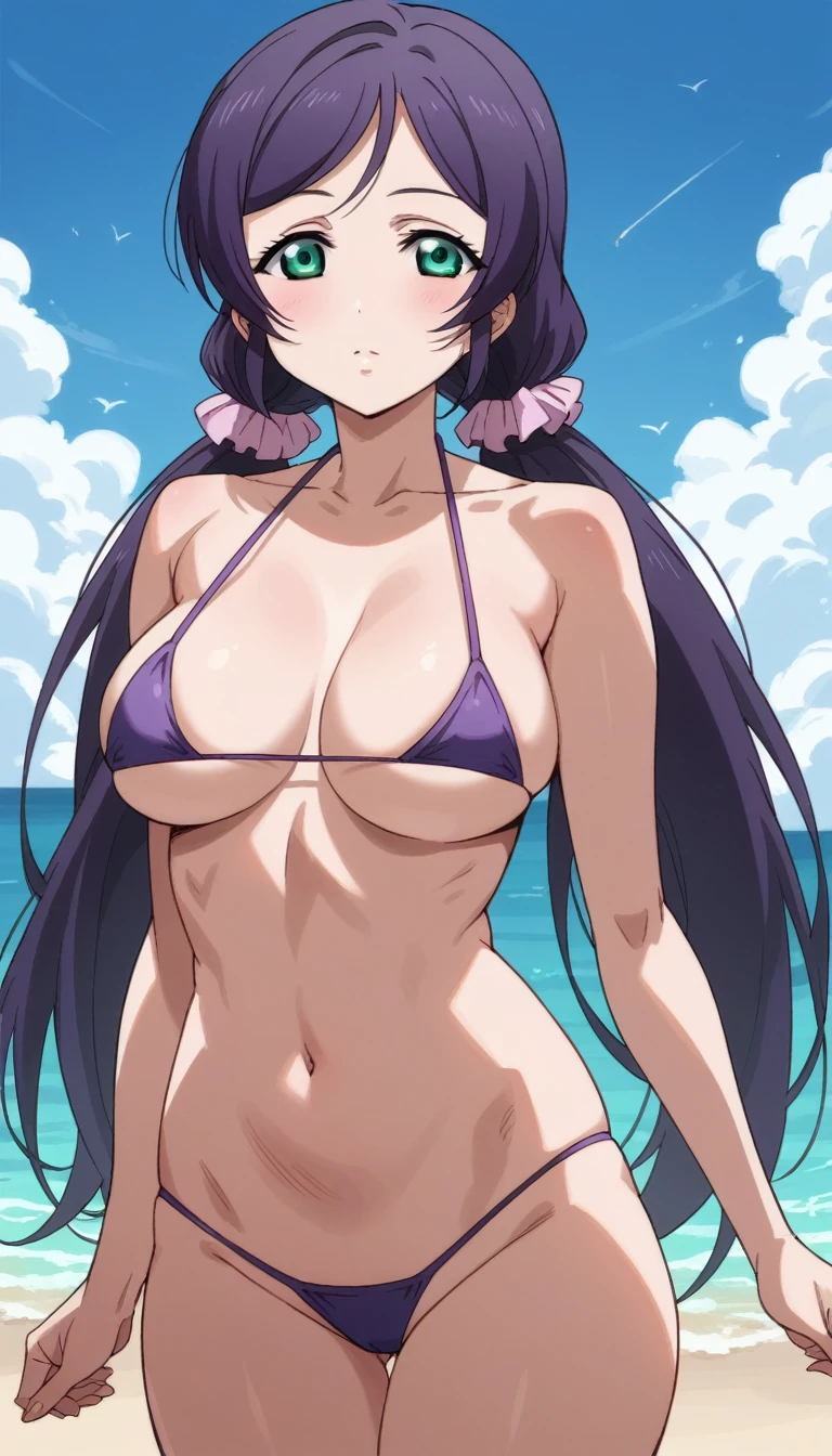 Score 9, Score 8 up, Score 7 up, The evaluation is questionable,
Detailed Background, Glowing Skin,nozomi toujou, green eyes, purple hair, twintails, low twintails, scrunchie, long hair,micro bikini,sexy pose,standing,,large breasts,short of a person,whole body,thin,from front,sky,sea,daytime,beach,swimming pool,anime style,high quality,masterpiece,highly detailed