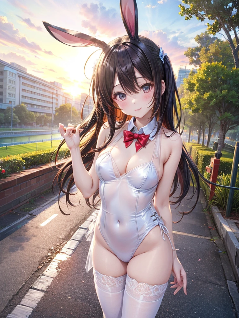 See-through Bunny Girl、High Leg