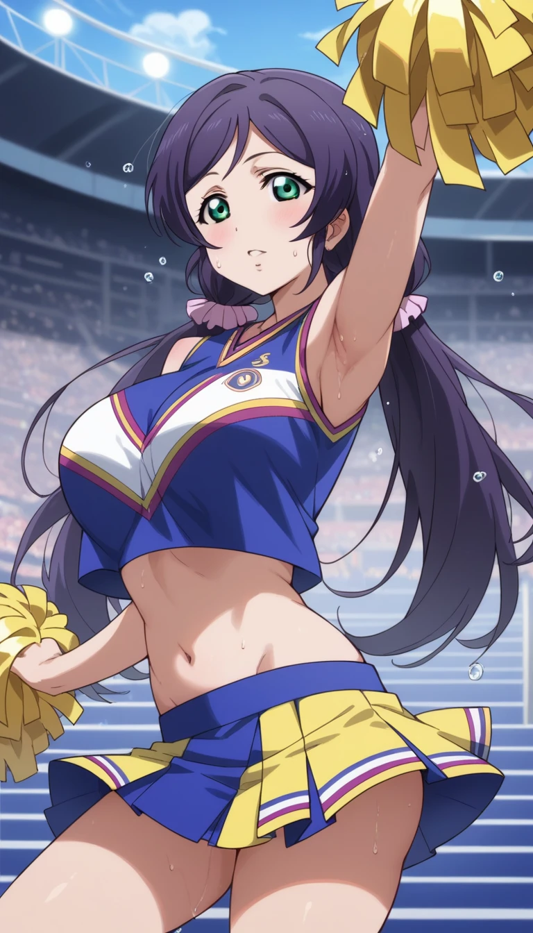 Score 9, Score 8 up, Score 7 up, The evaluation is questionable,
Detailed Background, nozomi toujou, green eyes, purple hair, twintails, low twintails, scrunchie, long hair,
girl, cheerleader, big breasts under uniform, armpit, mini skirt, droplets of sweat, dance, on stadium stands, on the stairs, stand seats, surrounded by spectator, crowd, best quality, very aesthetic