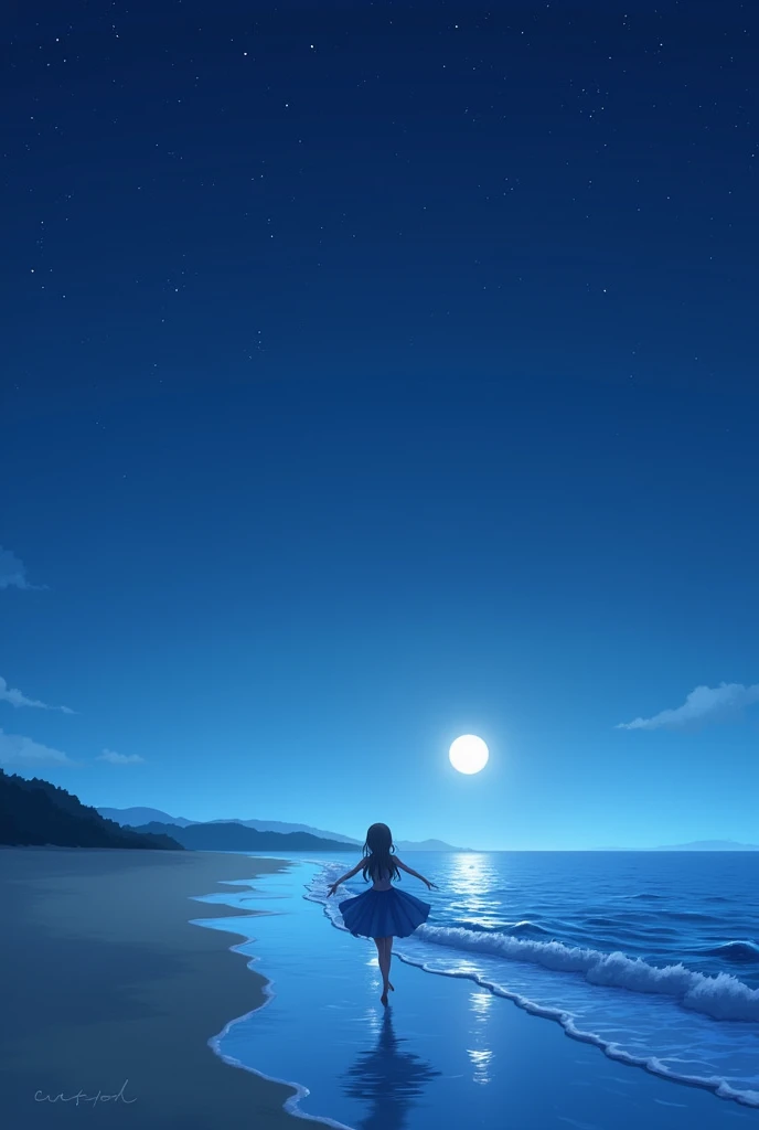 anime picture in night beach