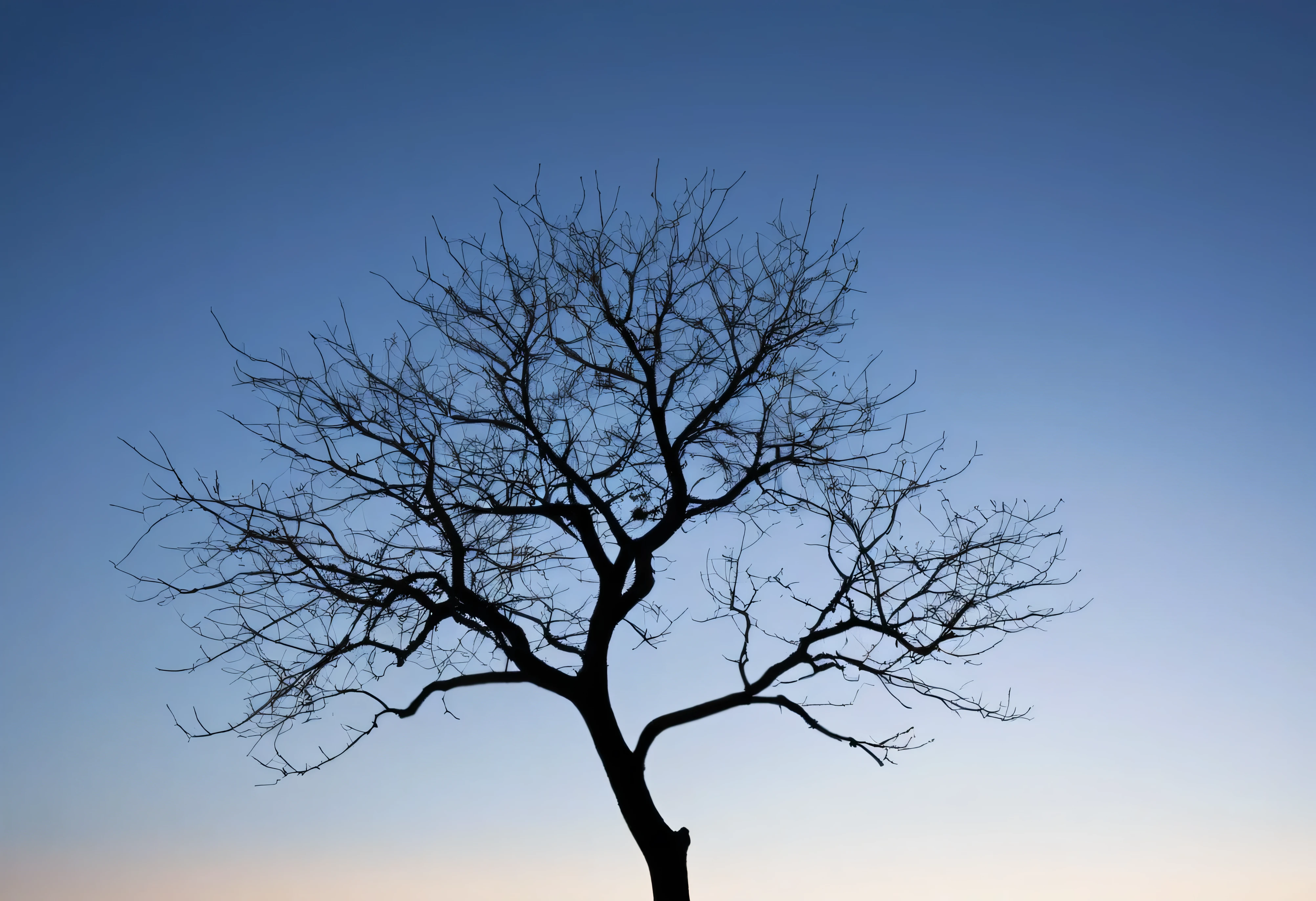 Generate a striking and minimalist silhouette photo of a leafless tree branch, positioned according to the rule of thirds. The branch should be dark and bare, with no leaves, its intricate structure clearly visible against a softly lit background. The background should feature a gradient sky, transitioning from warm hues of sunset or sunrise at the horizon to darker tones at the top, enhancing the silhouette effect. The branch is placed off-center, following the rule of thirds, with the majority of the empty space filled with the tranquil sky. The overall composition should evoke a sense of solitude and simplicity, with a focus on the natural beauty of the tree's form against the serene backdrop.