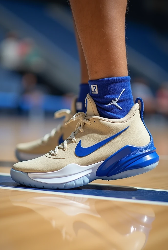 Basketball shoes, put the HZ brand, that have the best jumping technology and the best materials, that have beige and royal blue colors, that have the shape of a dolphin and that are low-top, give me another perspective