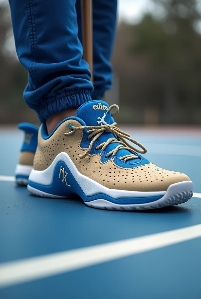 Basketball shoes, put the HZ brand, that have the best jumping technology and the best materials, that have beige and royal blue colors, that have the shape of a dolphin and that are low-cut. 