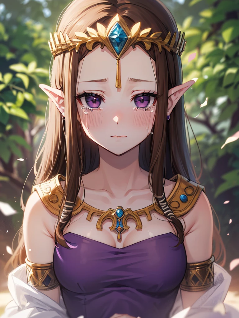 ((endure severe pain)),((Very detailed and beautiful face)),((Please show me your armpits)),((Face close-up)),((((Exposed breasts)))),(((They hesitate)),((Exposed shoulders)),((((Upper Body)))),((Are crying)),,((alone))Anime art style,masterpiece,(Highest quality), (Very detailedな),(Very delicate and beautiful),(alone),(Detailed face ),(((片close ~ eye))),(((((Mature Woman,Queen))))),((Very beautiful portrait)),((crinoline)),,((Straight Long Hair),((close ~ eye)),((close your mouth)),((Obscene)),(((Purple Blouse))),((Embarrassed expression)),((Dark brown hair)),blush,Princess Zelda, ((Highest quality)), (Very detailed), ,(((constrained))),beauty,beautiful,Princess Zelda, Ticker,)), ((vapor)),Nintendo, The Legend of Zelda,さらにblush