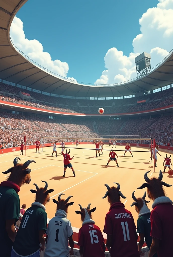 Vue panoramique d'un stade de volley-ball avec des chèvre habillées qui regarde des autres chèvre qui joue au volley-ball.