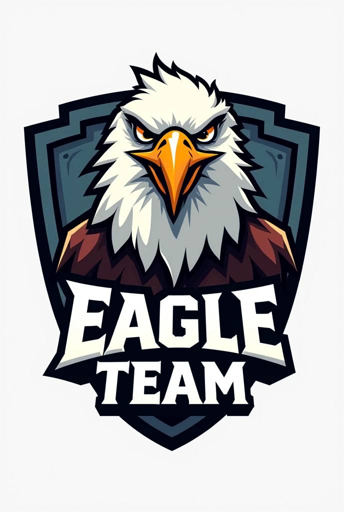 Create a cartoon image of an eagle inside a shield for a team with the phrase, eagle team in front of the drawing