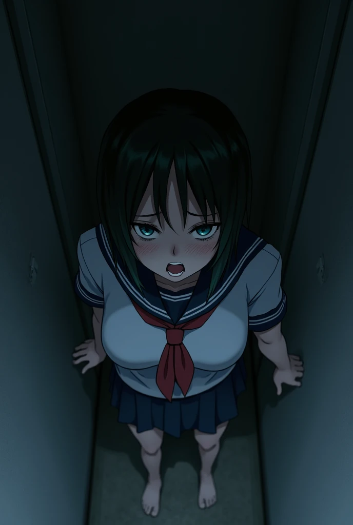 cica locked in a small room with no space, view from above, School uniform, big breasts, In the dark