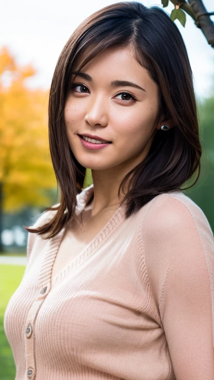 1 woman,(Wearing a blouse and cardigan:1.2),(RAW photos, best quality), (realistic, photo-realistic:1.4), masterpiece, very delicate and beautiful, very detailed, 2k wallpaper, amazing, in detail, very detailed CG unity 8k wallpaper, very detailed, mackerel, soft light, beautiful detailed girl, very detailed eyes and face, The detailed nose is pretty., beautiful and delicate eyes,movie lights,Autumn scenery,sunlight,Maple tree in autumn,complete anatomy,slim body,smiling,
