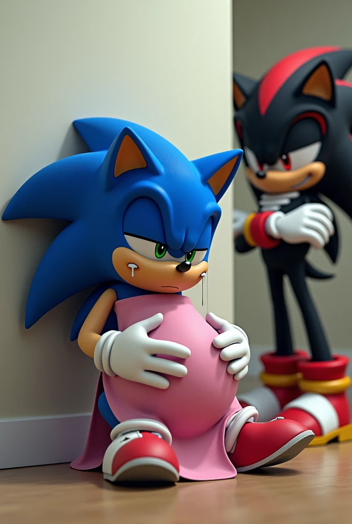 Sonic x shadow, image where Sonic appears pregnant with a pink apron, on the floor crying and shadow ignoring him