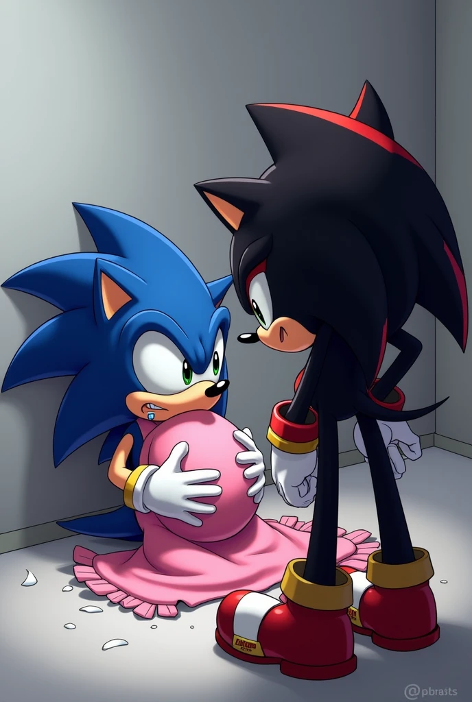 Sonic x shadow, image where Sonic appears pregnant with a pink apron, on the floor crying a lot and shadow ignoring him very upset, turning your back on him
