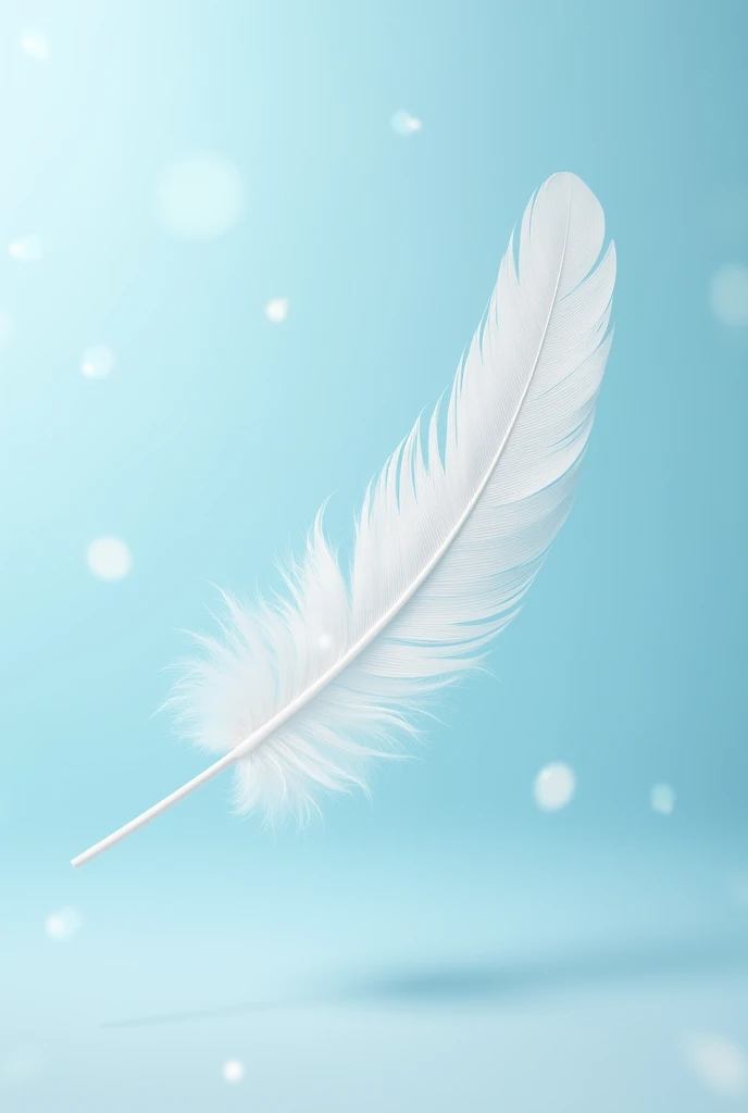 White bird feather on a light blue background、Beautiful images