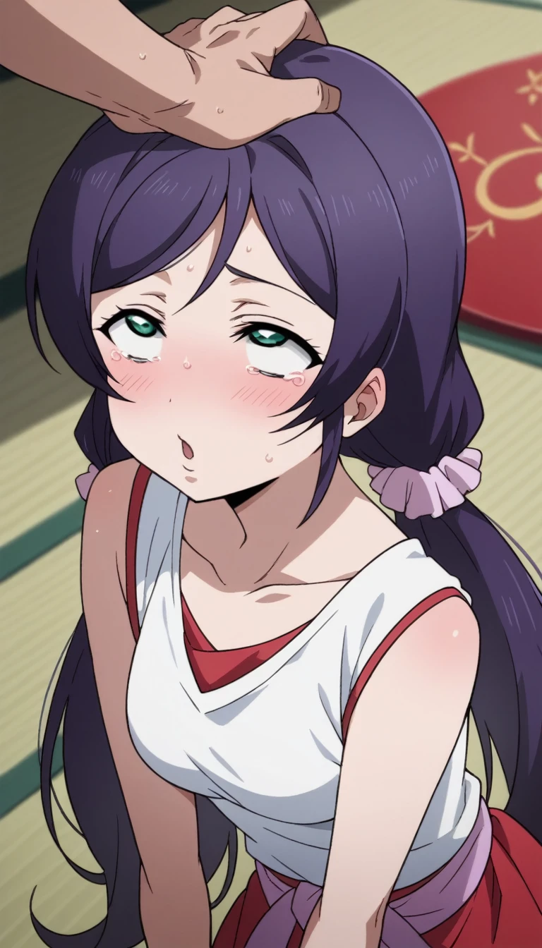 Score 9, Score 8 up, Score 7 up, The evaluation is questionable,
Detailed Background, Glowing Skin,Nozomi-san is always, Green Eyes, Purple Hair, Twin tails, low Twin tails, Scrunchie, Long Hair,in the same way, in the same way skirt, kimono, Shrine maiden, red in the same way, Long sleeve,rape, 1man hold head, sex, {best quality}, {very aesthetic}, {ultra-detailed}, {best illustration}, sobbing, round eyes, red face, rolling eyes, Tank top, all fours