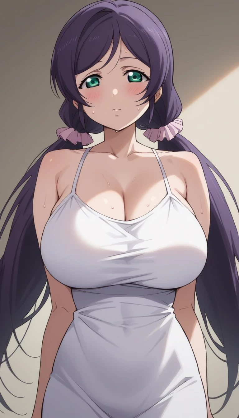 Score 9, Score 8 up, Score 7 up, The evaluation is questionable,
Detailed Background, Glowing Skin,Nozomi-san always, Green Eyes, Purple Hair, Twin tails, low Twin tails, Scrunchie, Long Hair, Huge breasts、blush、Sweat、In the heat,{Highest quality}, {so beautiful}, {Very detailed}, {Best illustrations},Life、slim:1.5、Camisole long maxi dress(tight)、Are standing