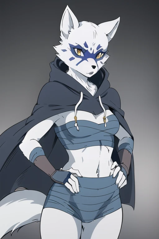 
Alopex, Solo, arctic fox, tmnt, blue marks, yellow eyes, shaded bandage, Kunoichi Outfit, cape, cloak, Fox Ears, Cowboy Shot, Anime Style, Hood Up, Masterpiece, Best Quality, 