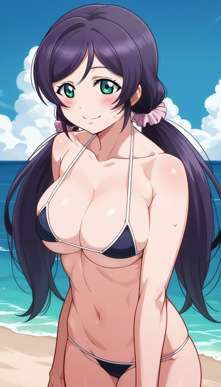 Score 9, Score 8 up, Score 7 up, The evaluation is questionable,
Detailed Background, Glowing Skin,Nozomi-san always, Green Eyes, Purple Hair, Twin tails, low Twin tails, Scrunchie, Long Hair,Micro Bikini,Sexy pose,Are standing,,Large Breasts,Not enough people,whole body,thin,from the front,null,Ocean,Daytime,Beach,swimming pool,Anime Style,high quality,masterpiece,Very detailed,smile