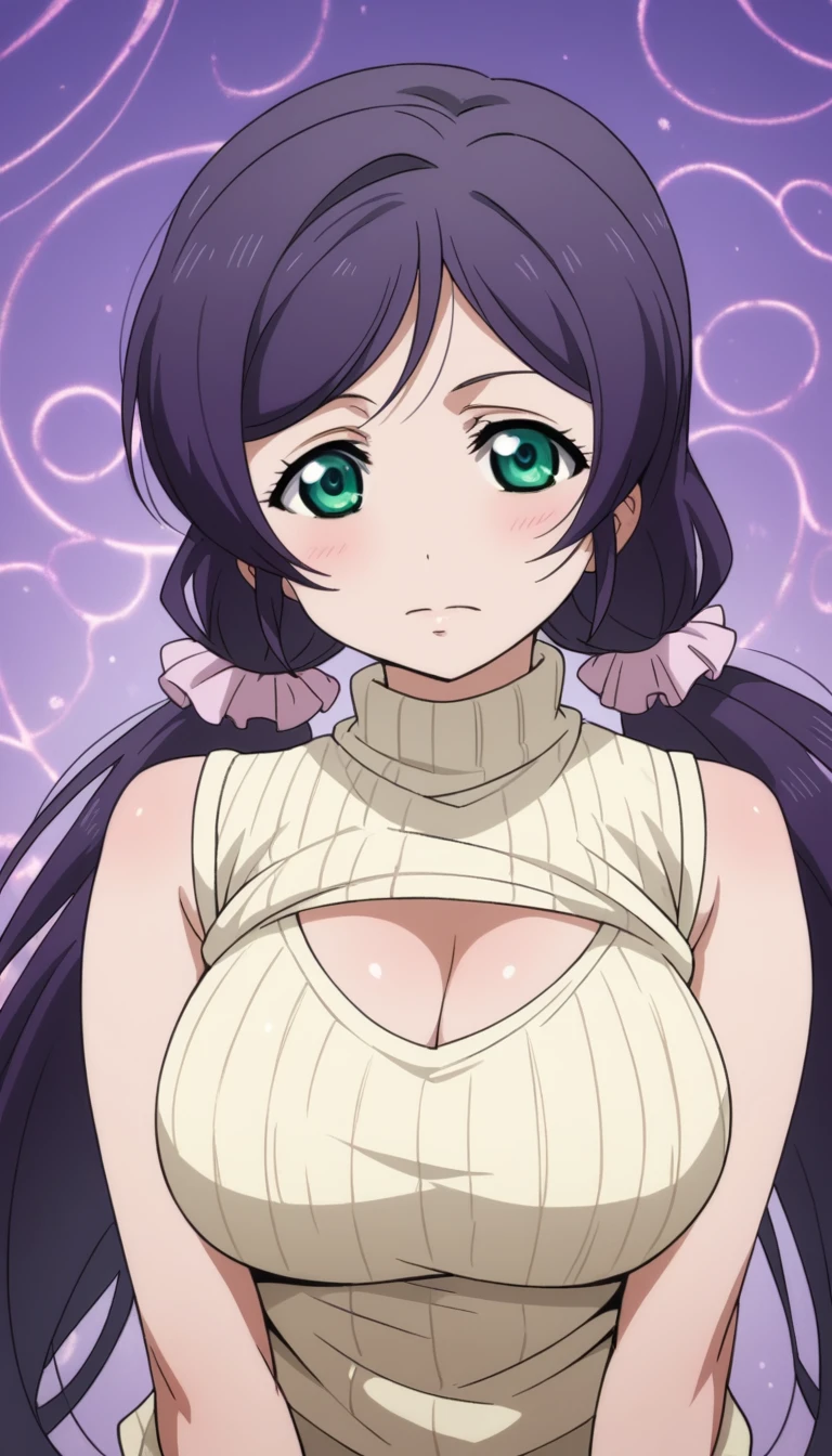 Score 9, Score 8 up, Score 7 up, The evaluation is questionable,
Detailed Background, Glowing Skin,Nozomi-san always, Green Eyes, Purple Hair, Twin tails, low Twin tails, Scrunchie, Long Hair,{best quality}, {very aesthetic}, {ultra-detailed}, {best illustration}, girl, half updo, curvy, big breast, sweater, knit, sleeveless, cleavage, turtleneck, panties