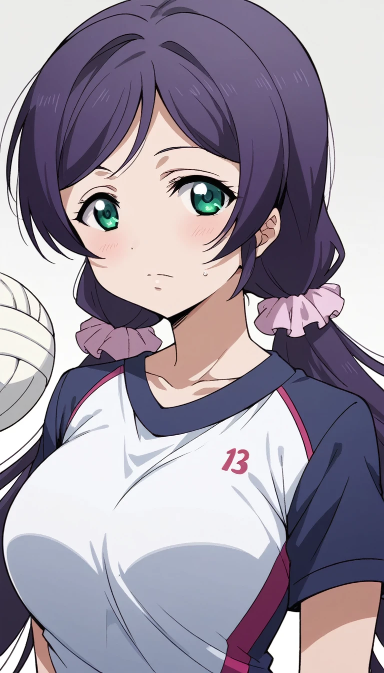 Score 9, Score 8 up, Score 7 up, The evaluation is questionable,
Detailed Background, Glowing Skin,Nozomi-san always, Green Eyes, Purple Hair, Twin tails, low Twin tails, Scrunchie, Long Hair,Big Breasts,{best quality}, {very aesthetic}, {ultra-detailed}, {best illustration}, girl, training wear, volleyball , hip, indoor, gym,