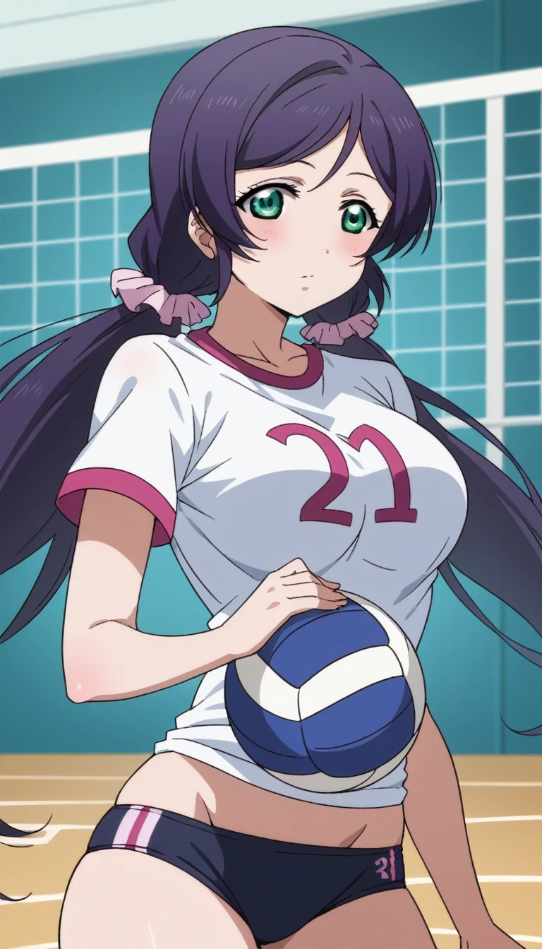 Score 9, Score 8 up, Score 7 up, The evaluation is questionable,
Detailed Background, Glowing Skin,Nozomi-san always, Green Eyes, Purple Hair, Twin tails, low Twin tails, Scrunchie, Long Hair,Big Breasts,{best quality}, {very aesthetic}, {ultra-detailed}, {best illustration}, girl, training wear, volleyball , hip, indoor, gym,