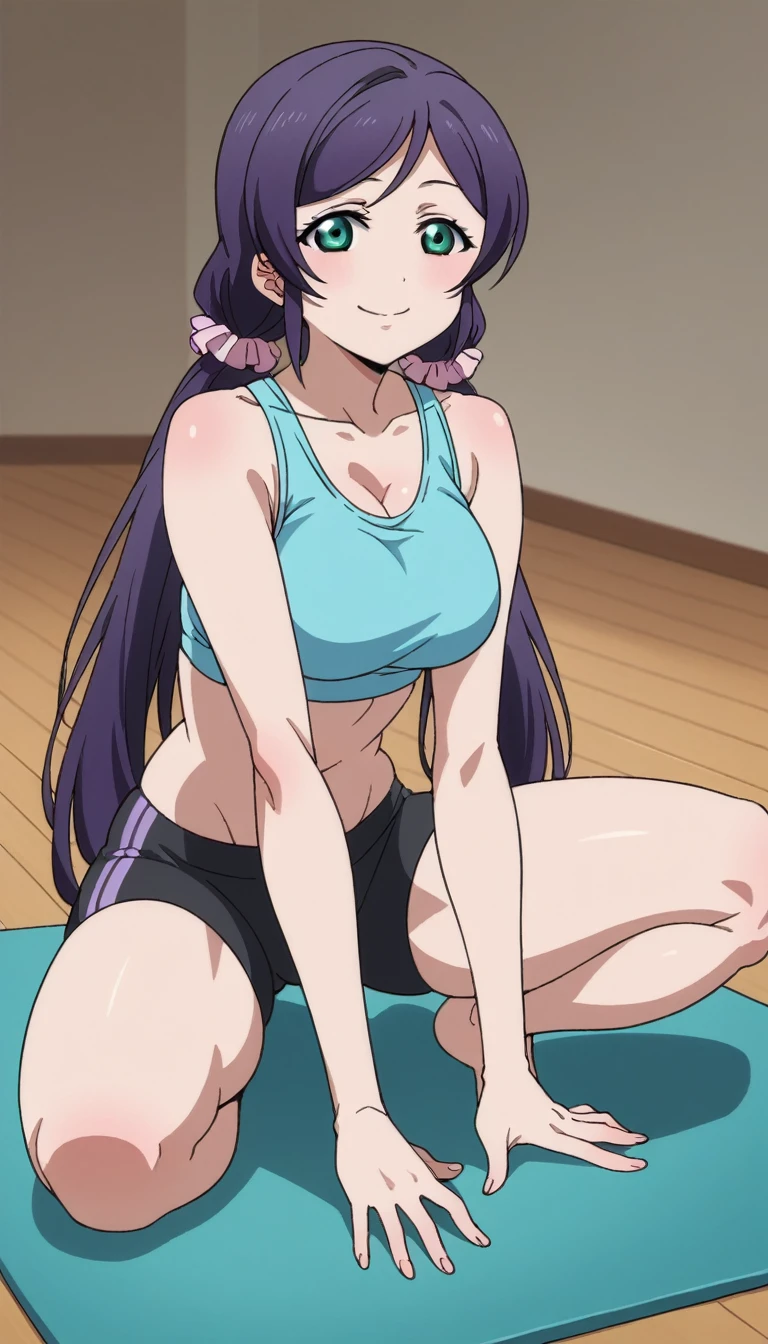 Score 9, Score 8 up, Score 7 up, The evaluation is questionable,
Detailed Background, Glowing Skin,Nozomi-san always, Green Eyes, Purple Hair, Twin tails, low Twin tails, Scrunchie, Long Hair,Big Breasts,{{best quality}, {very aesthetic}, {ultra-detailed}, {best illustration}, girl, training wear, yoga, yoga pose, sit, open legs, indoor, on mat, gym,smile