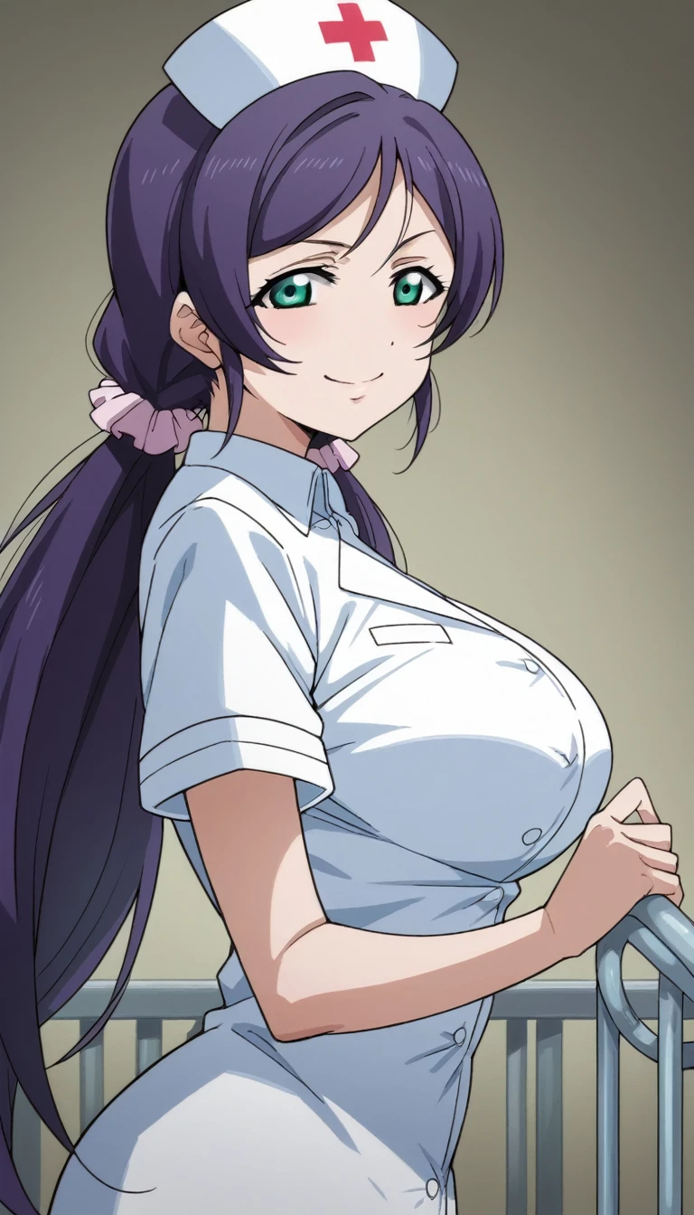 Score 9, Score 8 up, Score 7 up, The evaluation is questionable,
Detailed Background, Glowing Skin,Nozomi-san always, Green Eyes, Purple Hair, Twin tails, low Twin tails, Scrunchie, Long Hair,Big Breasts,,one woman,nurse's outfit,posing,,large breasts,whole body,thin,smirk,from side,night,hospital,anime style,high quality,masterpiece,highly detailed,smile