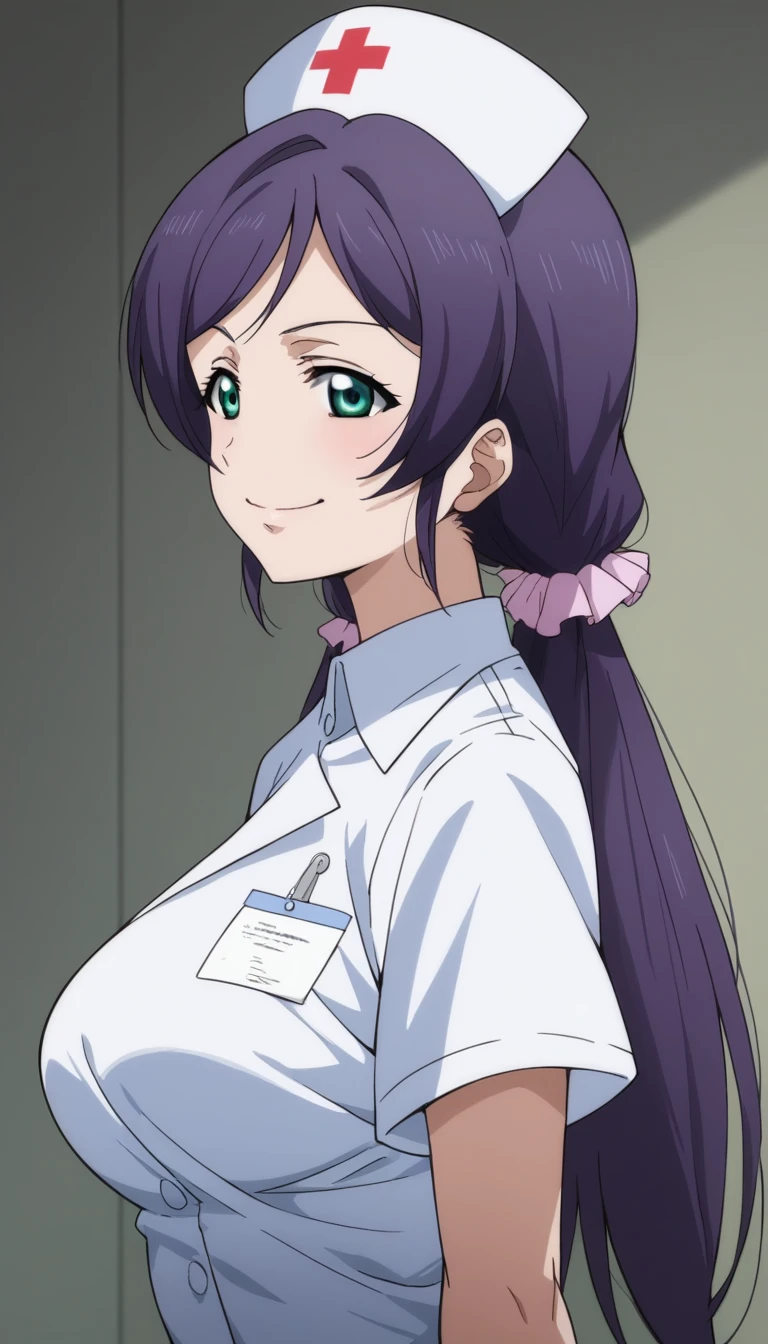 Score 9, Score 8 up, Score 7 up, The evaluation is questionable,
Detailed Background, Glowing Skin,Nozomi-san always, Green Eyes, Purple Hair, Twin tails, low Twin tails, Scrunchie, Long Hair,Big Breasts,,one woman,nurse's outfit,posing,,large breasts,whole body,thin,smirk,from side,night,hospital,anime style,high quality,masterpiece,highly detailed,smile,Blood collection