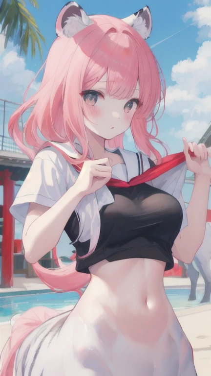 (best quality, masterpiece), 1 girl, centaur, I beg, White skin, Japanese schoolgirl,daughter,black pink, exposing the abdomen, belly button t-shirt , Beautiful girl perfect white tiger photo, Perfect Athlete Photo