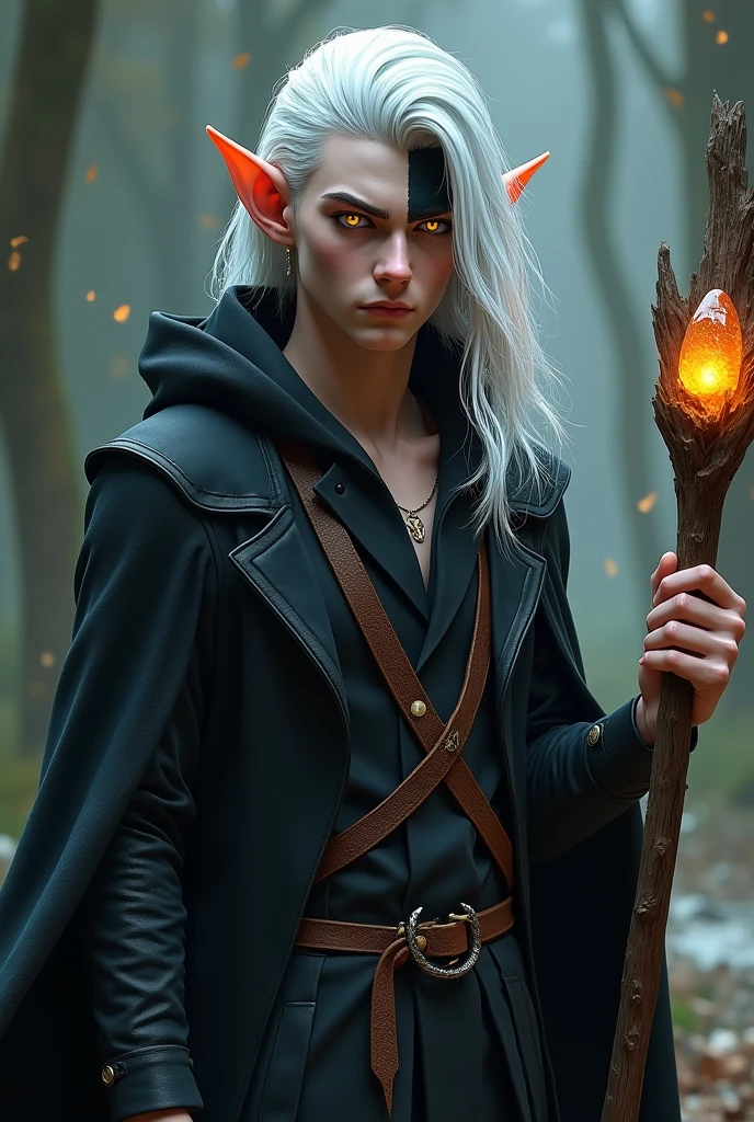 Elf-man 25 years with white long hair. On the front side his hair we see black streak. One of his eye was blue, second was yellow. He wear black coat with hood. He have wooden staff with magic rock.