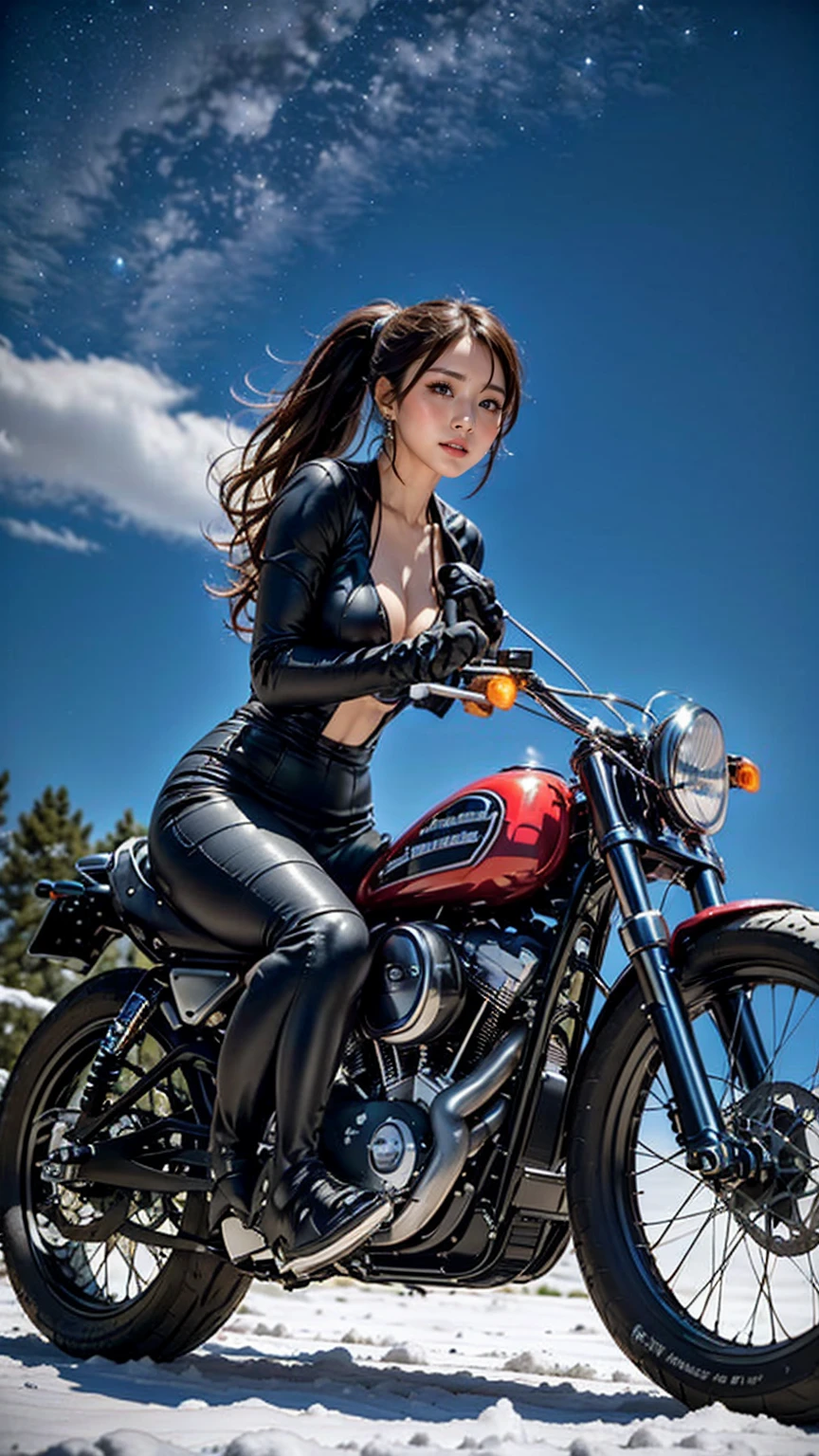 anna_girl, (Late Night, dark sky, star), BREAK, (She drives a large motor bike, (Harley-Davidson XR750:1.2), (gilitter pink high-leg micro bikini)), (Beautiful young female rider), (Short gloves, black knee-high boots), BREAK, (Black wavy semi-long hair, ponytail), (Beautiful hands and feet), BREAK, Beautiful skyline, Vast grassland, dramatic photograph, dynamic visual effects, (Fantasy art), BREAK, (1 screen), (Highest quality, 4K, 8k,High resolution), Very detailed, (Realistic photograph:1.3), (Perfect Anatomy), (Perfect finger to thumb ratio), (Symmetrical eye), BREAK, starry sky, ((Snowfield))