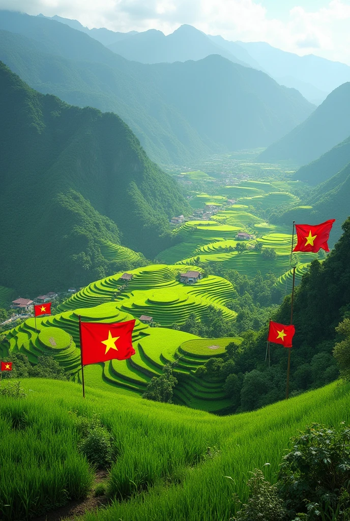 terraced fields in vietnam, many vietnamese flags