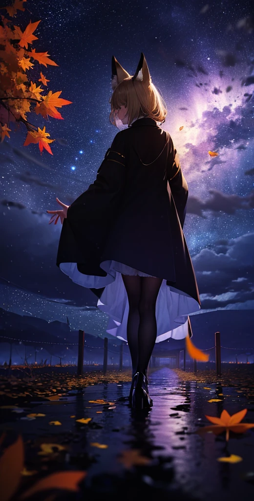 1people々々々々々々々々々々々々々,Woman with medium length blonde hair,Fox Ears,Long coat,Takageta, Dress Silhouette, Rear View,Space Sky, Full moon background,Flower Field,Colorful flowers,Dancing Petals,autumn,autumn leaves,rain,