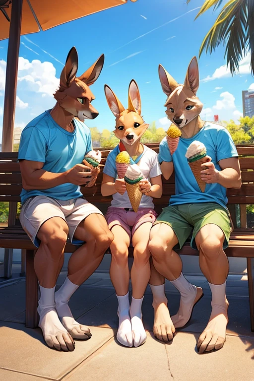 3 adult kangaroos wearing thick diapers eating ice cream cones